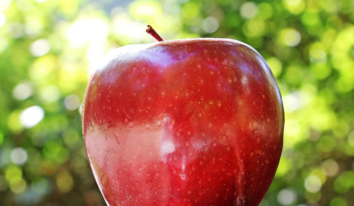 Simple apple and blackberry crumble recipe for autumn
