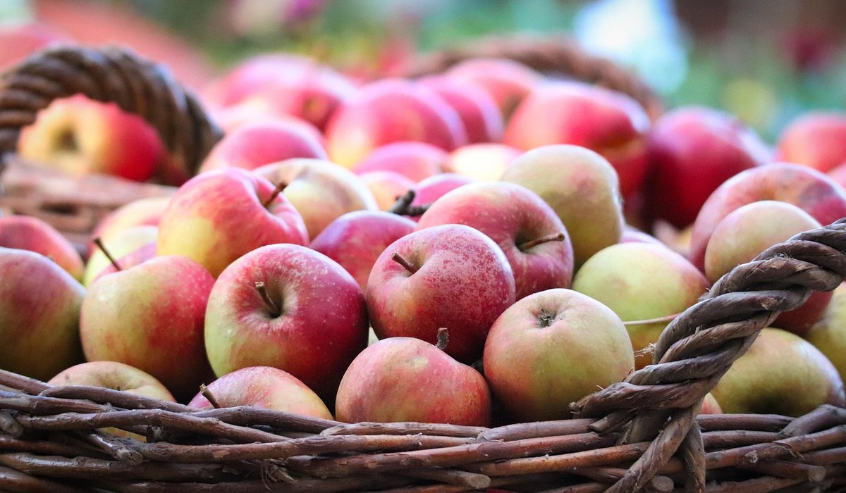 Slow-cooked pork with apples and cider